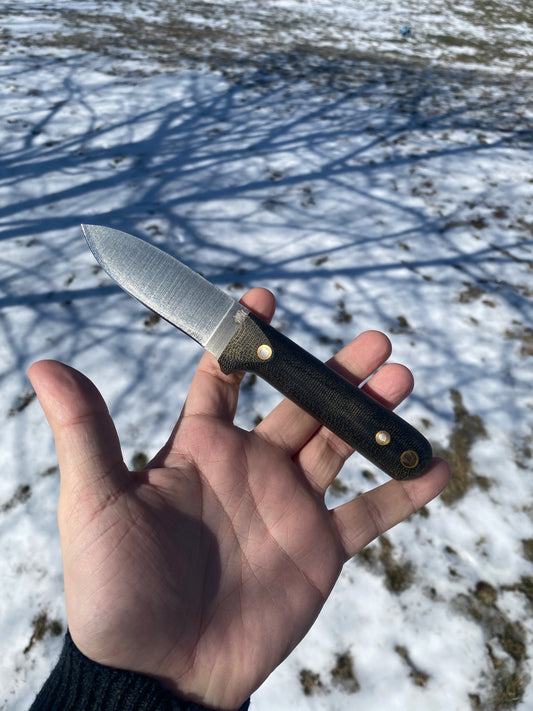 LTWK-Next Gen 3.3”-A2 Steel-Flat Grind-Black Micarta-Matte Finish-Brown Hip Sheath-Right Hand Carry